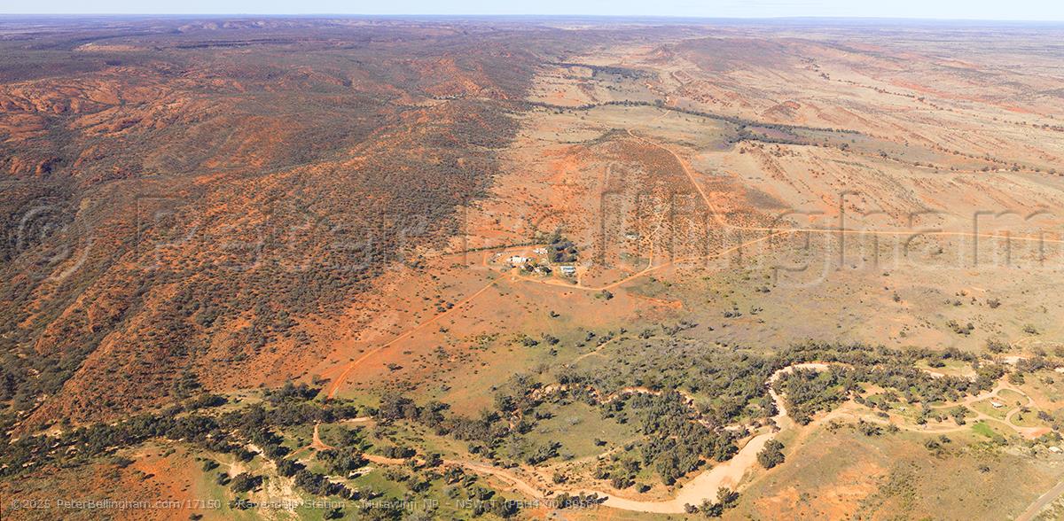Peter Bellingham Photography Ravendale Station - Mutawinji NP - NSW T (PBH4 00 8956)